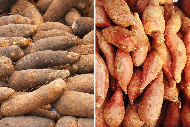 Fresh Roots and Tubers