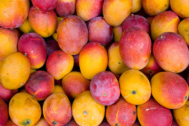 African Fresh Mango